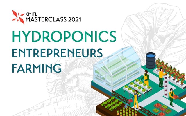 HYDROPONICS ENTREPRENEURS FARMING